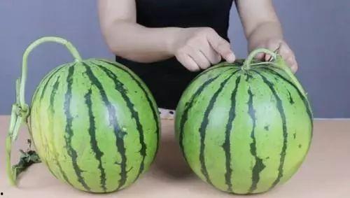 江苏理工学吃瓜,吃瓜群众眼中的校园美食盛宴