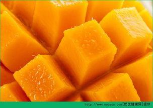 空腹可以吃小瓜,健康美味两不误的饮食选择