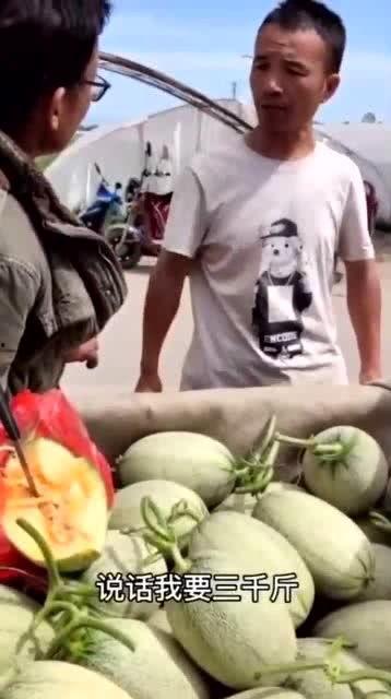 吃瓜大哥打小伙,一场校园风波的真相揭秘